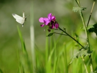 Nom du fichier=Xbxqg.jpg
Taille du fichier=379Ko
Dimensions : 1274x963
Ajouté le : 20 Avril 2020 Xbxqg.jpg