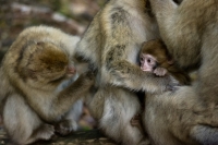 Nom du fichier=lAuP.jpg
Taille du fichier=382Ko
Dimensions : 1000x665
Ajouté le : 30 Octobre 2019 lAuP.jpg