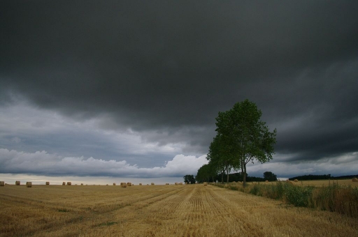 2014-03-12 / Comte Manglin de Alak
Comte Manglin de Alak [Paysages]
