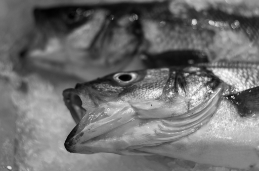 2014-10-21 / miczfr
miczfr [Noir et Blanc, Sepia et desaturation partielle]
