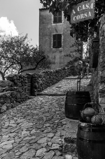 2014-11-12 / DS29
DS29 [Noir et Blanc, Sepia et desaturation partielle]
