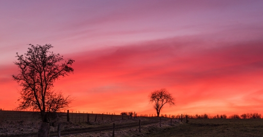 2015-03-11/Hermès
Hermes [Paysages]
