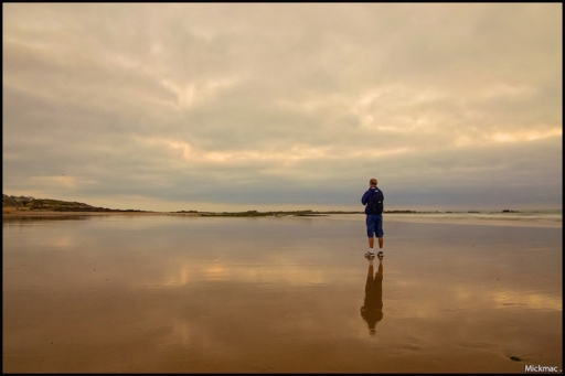 2015-08-11/ Mickmac
Mickmac  [ Reflets et ombres]
