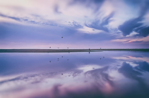 2016-01-06/pakas
pakas [Paysages et elements naturels]
