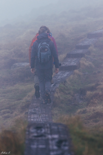 2016-05-10/Electro
Electro  "[7-8 mai 2016] Pentaxone chez les verts : les photos"
