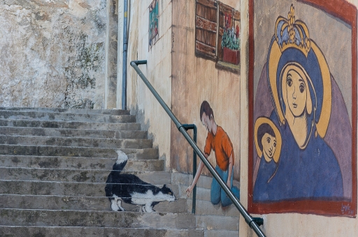 2017-05-27/chrisfer
chrisfer "Malte"
