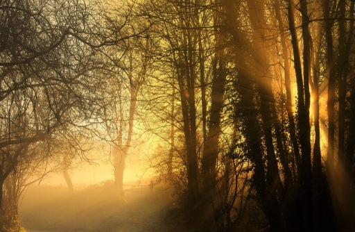 2017-03-22/yuma
yuma  [Paysages et elements naturels]
