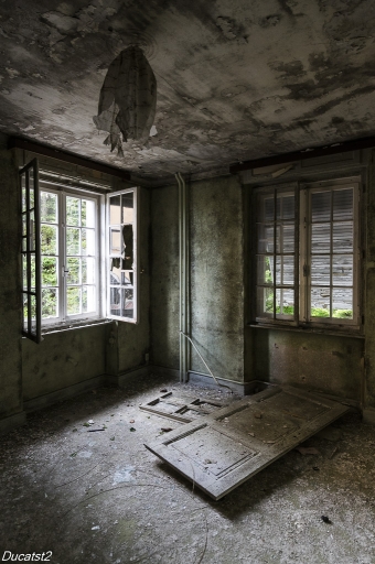 2017-06-17/ducatst2
ducatst2  "Bienvenue en cure....."
