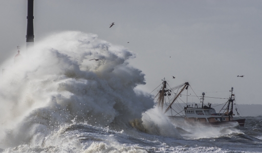 2018-01-17/step55
step55  [Vehicules & Moyens de transport]
