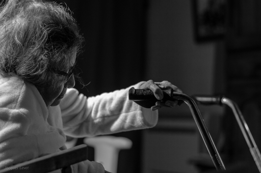 2018-12-12/Pech_les oies
Pech_les oies  [Portraits]
