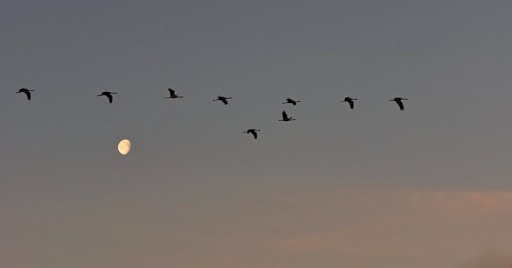 2019-02-26/ charlysouho
 charlysouho [Paysages et elements naturels]
