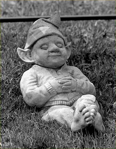 2019-03-01/yuma
yuma [Natures mortes, photos d'objets] 
