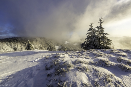 2019-12-11/ducatst2
ducatst2 [Paysages et éléments naturels]
