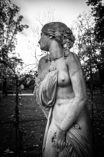 2020-01-28/raptor.dst
raptor.dst   [Environnement urbain et constructions humaines ]
