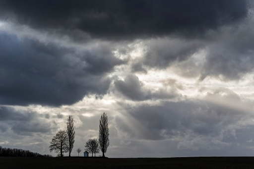 2020-04-22/ j_c
j_c    [Paysages et éléments naturels]
