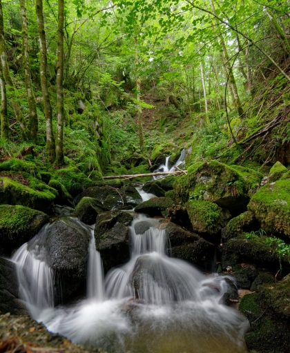 2020-07-01/ charlysouho
charlysouho [Paysages et éléments naturels]

