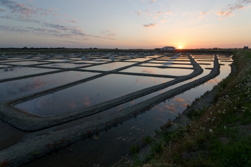 2020-08-11 / charlysouho
charlysouho [Environnement urbain et constructions humaines]

