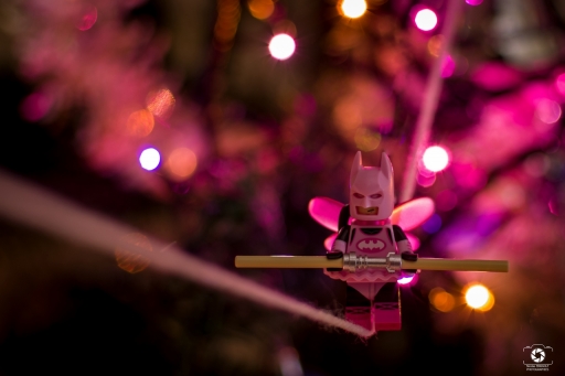 2020-12-01/ nicolas03
nicolas03 [Natures mortes et photos d'objets]
