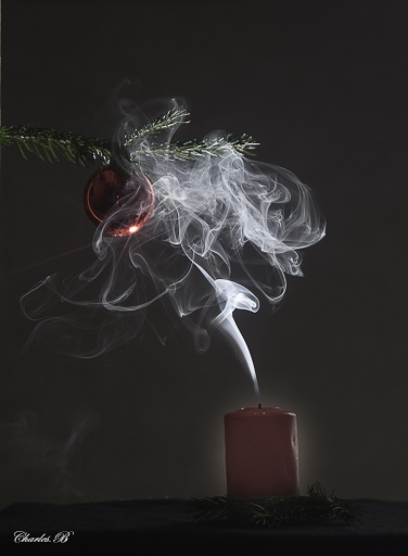 2020-12-09 / charbau
charbau [Natures mortes, photos d'objets]
