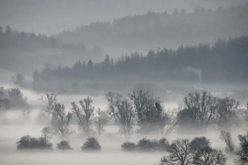 2021-04-03/charlysouho
charlysouho [Paysages et éléments naturels]
