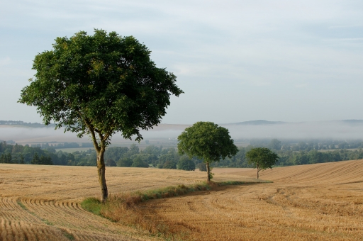 2021-08-18/ charlysouho
charlysouho [[Paysages et éléments naturels]
