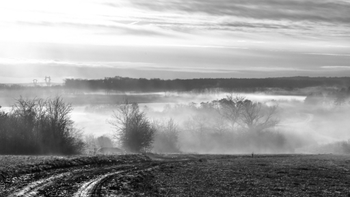 2023-01-10/Opus21
Opus21 [Paysages et éléments naturels]
