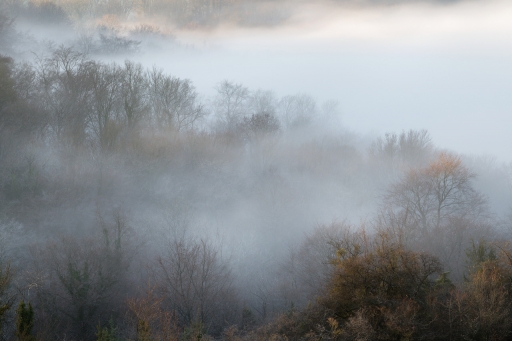 2023-12-30/charlysouho
charlysouho [Paysages et éléments naturels]
