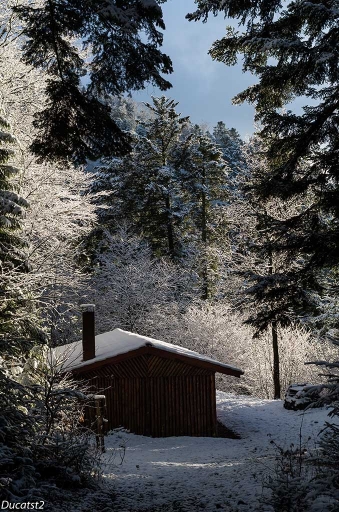 2014-01-29 / ducatst2
ducatst2 [paysages]
