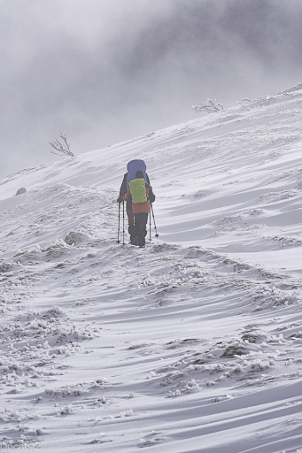 2024-02-14/ducatst2
ducatst2 [Paysages et éléments naturels]
