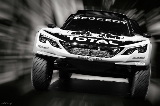 2017-05-10/berzip
berzip [Vehicules & Moyens de transport]
