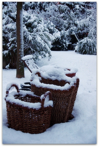 2015-02-04/degun13113
degun13113 [Arbres/Forets/Vegetation]
