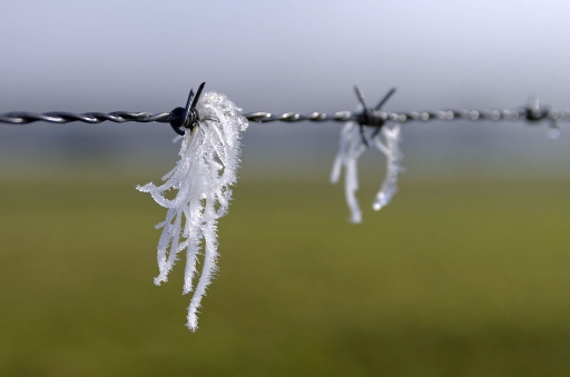 2018-03-14/charlysouho
charlysouho [Natures mortes, photos d'objets]
