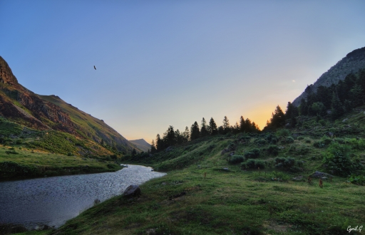 2019-10-09 / CarpoDingo
CarpoDingo [Paysages et elements naturels]
