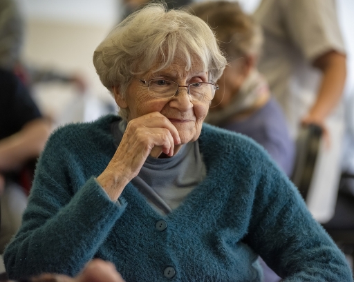 2023-02-14/berzip
berzip [Portraits]
