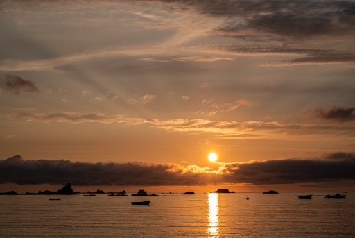 2023-07-18/neosilencers
neosilencers [Paysages et éléments naturels]
