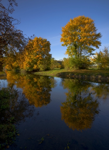 2015-10-28/FreD69
FreD69 [Paysages et elements naturels]
