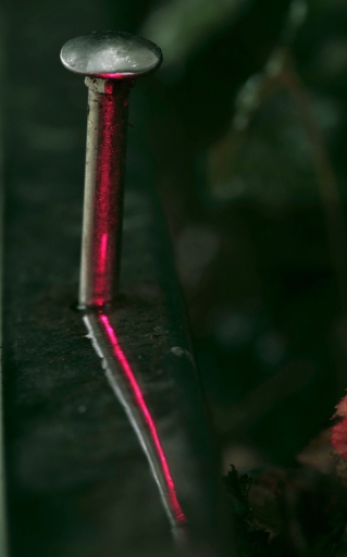 2017-10-10/yuma
yuma [Natures mortes, photos d'objets] 
Mots-clés: http://www.pentaxone.fr/component/option,com_smf/Itemid,28/topic,19543.msg2040852/#msg2040852