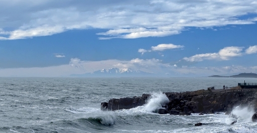2014-02-12 / ALGIL
ALGIL [La mer, l'ocean]
