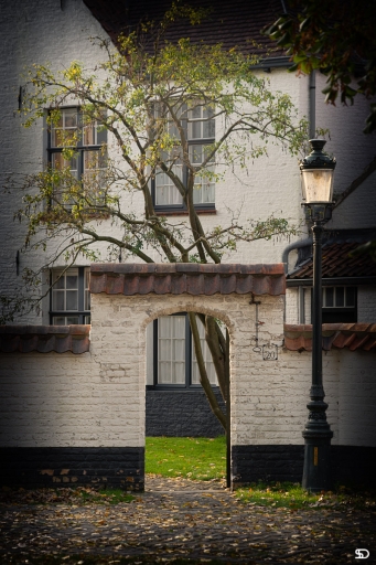 2019-12-04/SerDeber
SerDeber   "Fin de journée à  Brugge"
