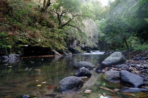 2021-09-21/ charlysouho
charlysouho [paysages et éléments naturels]
