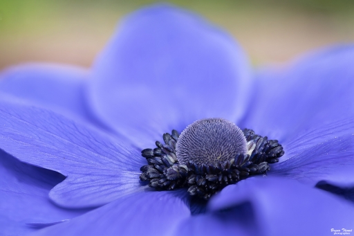 2020-03-03/ Daenelyn
