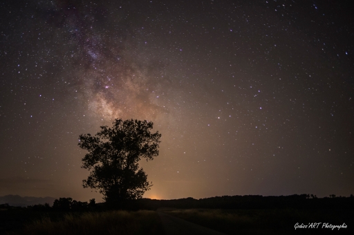 2021-01-20/CarpoDingo
CarpoDingo [Paysages et éléments naturels]
