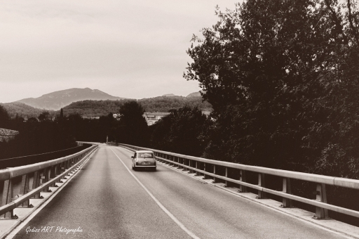 2021-01-13/CarpoDingo
CarpoDingo [Paysages et éléments naturels]
