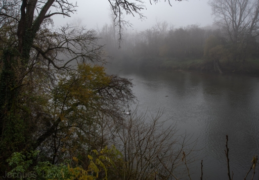 2021-12-01/Pech_les oies
Pech_les oies [Paysages et éléments naturels]
