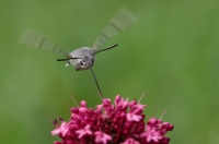 Nom du fichier=22060702220324454617915767.jpg
Taille du fichier=255Ko
Dimensions : 1280x851
Ajouté le : 07 Juin 2022 22060702220324454617915767.jpg