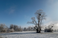 Nom du fichier=24012306571324454618343278.jpg
Taille du fichier=418Ko
Dimensions : 1280x855
Ajouté le : 23 Janvier 2024 24012306571324454618343278.jpg