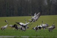 Nom du fichier=24030509243924454618368320.jpg
Taille du fichier=362Ko
Dimensions : 1280x853
Ajouté le : 05 Mars 2024 24030509243924454618368320.jpg