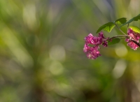 Nom du fichier=25295__IGP2206pent.jpg
Taille du fichier=256Ko
Dimensions : 912x670
Ajouté le : 17 Avril 2015 25295__IGP2206pent.jpg