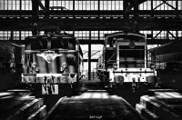 Nom du fichier=26930720195_17182595ef_o.jpg
Taille du fichier=332Ko
Dimensions : 1024x677
Ajouté le : 10 Mai 2016 26930720195_17182595ef_o.jpg