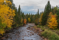 Nom du fichier=49829818801_ff917a33f6_o.jpg
Taille du fichier=484Ko
Dimensions : 1280x878
Ajouté le : 28 Avril 2020 49829818801_ff917a33f6_o.jpg